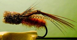 72_45ec89b10e584.jpg