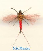 Ecdyonurus imago odozdo.jpg