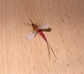 red spinner-2.jpg