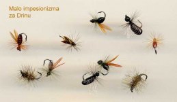 Za lipljene 15. IV 2006.jpg