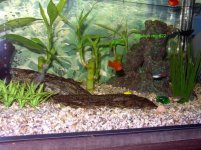 IMG_0004.jpg