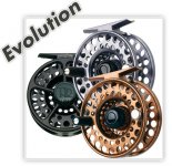 reelsbigEvolution.jpg
