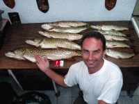 nenad-djumic.gif