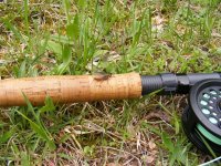 DSCF1178.JPG