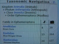eph.jpg