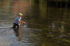 IMG_8741_cr1web.jpg