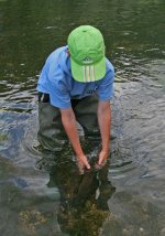 IMG_8739_cr1web.jpg