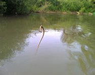 img143.jpg