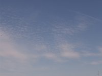 DSC02800.jpg