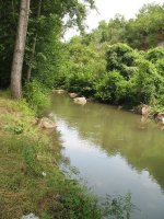 IMG_7T.jpg