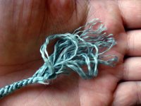 uckur.jpg