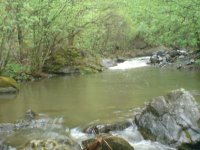 DSC00072.JPG