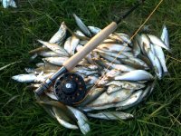 270320111238.jpg