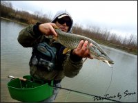 4.2.2011.jpg