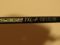 IMG_2428.jpg