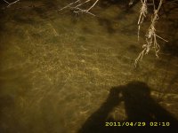 IMG_0202.JPG