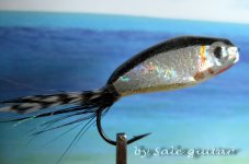 IMG_4372.jpg