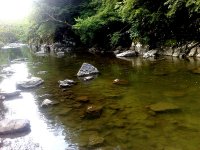SDC11008.jpg