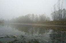 PIKE3.jpg