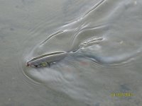 IMG_5972.jpg
