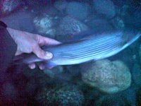 DSC01477.JPG