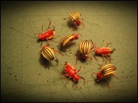 IMG_8949.jpg
