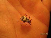 IMG_8988.jpg