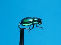 IMG_0342.JPG