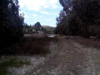 dam4.jpg