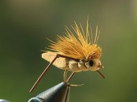 IMG_9229web.jpg