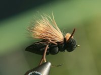 IMG_9246web.jpg