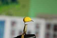 IMG_6232.JPG