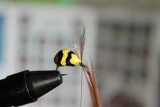 IMG_6236.JPG