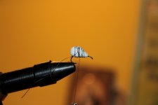 IMG_6240.JPG