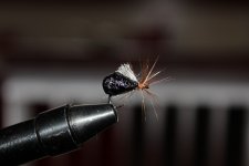 IMG_6242.JPG