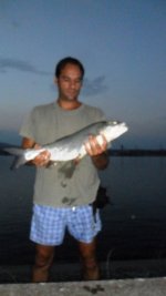 SAM_1045.JPG