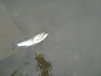 DSCN0454.JPG