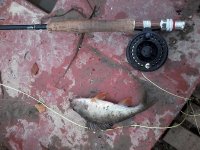 20130927_163631.jpg