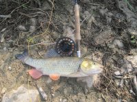 IMG_0274.JPG