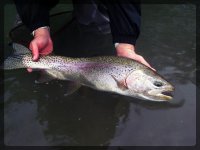 nice rainbow.jpg