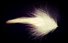Skagit Minnow.jpg