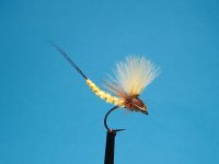 IMG_0739.JPG