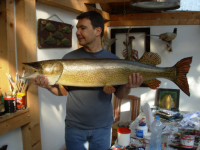 Štuka oko 14kg.JPG