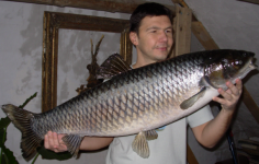 amur 25 kg (4).JPG
