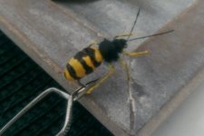 IMAG0430_1.jpg