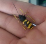 IMAG0429_1.jpg