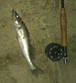 IMAG2281-1.jpg