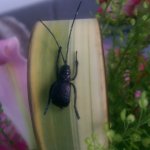 IMAG0512_1.jpg