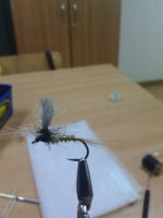 IMG_20140226_180842_619.jpg