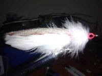 IMG_20141030_201417_354__1414775242_109.92.118.156.jpg